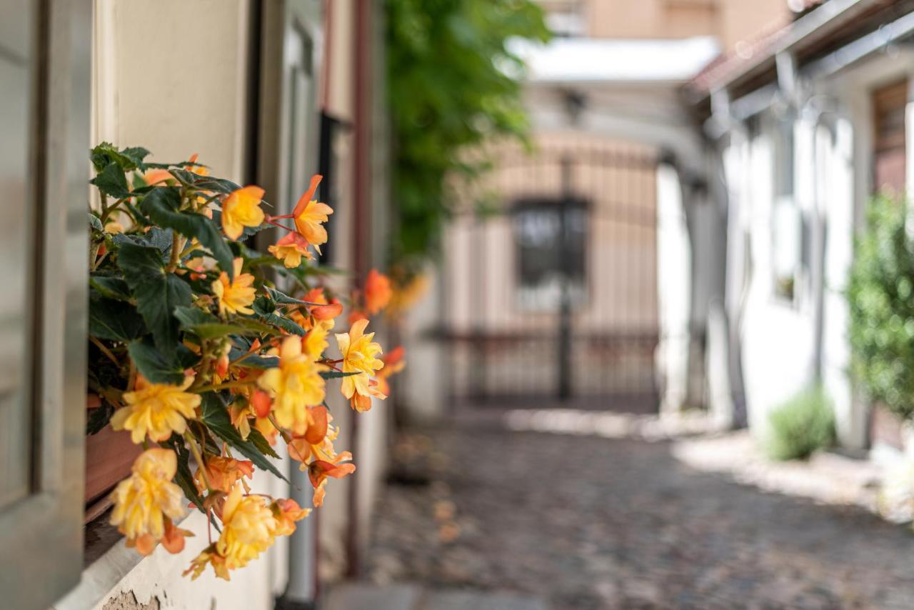 Sun Lighted Cathedral Square Studio Apartment Vilnius Luaran gambar